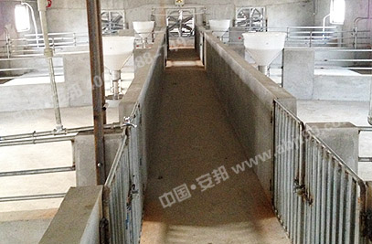 畜牧養殖場內部分布