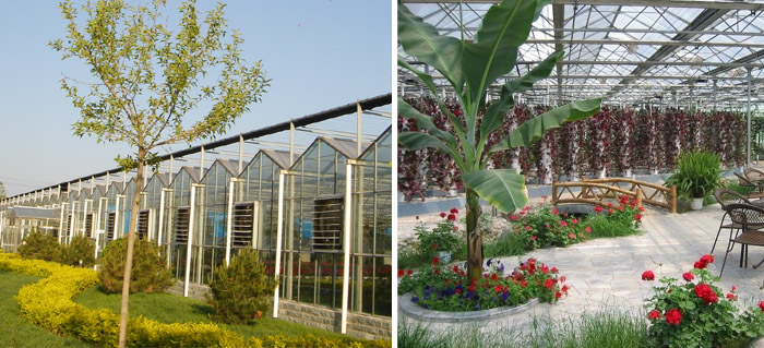 發熱電纜在大型種植園的應用